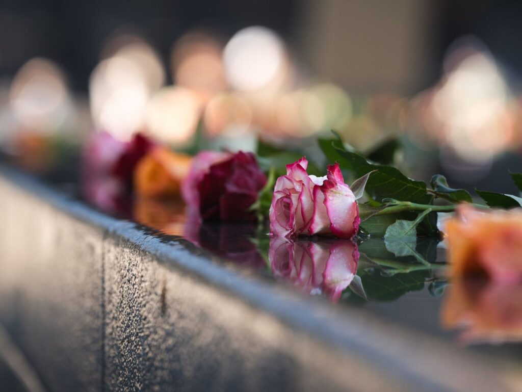 Elegant roses lying on a reflective surface at a memorial site, capturing tranquility.