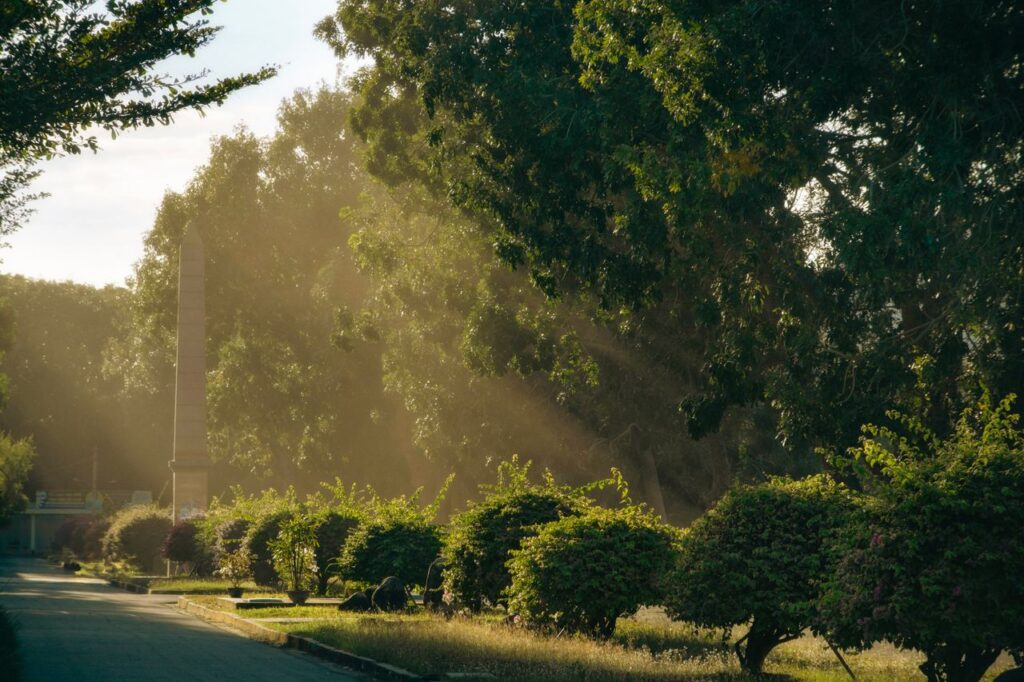 Sunlight streaming through lush trees in a peaceful park in Nha Trang, Vietnam.